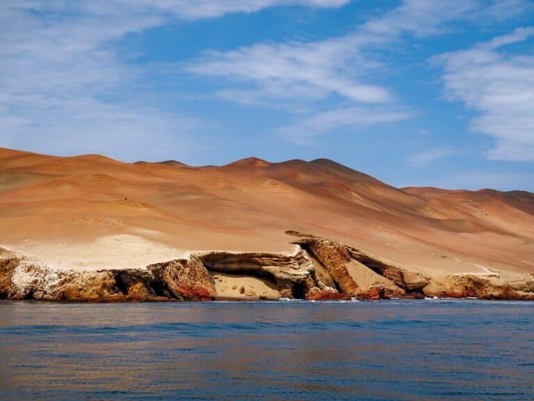 Best Things To Do In Paracas Peru A Complete Guide Kitti Around