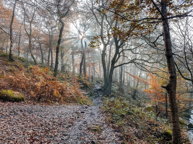 Padley Gorge – A Mystical Woodland Walk in the Peak District