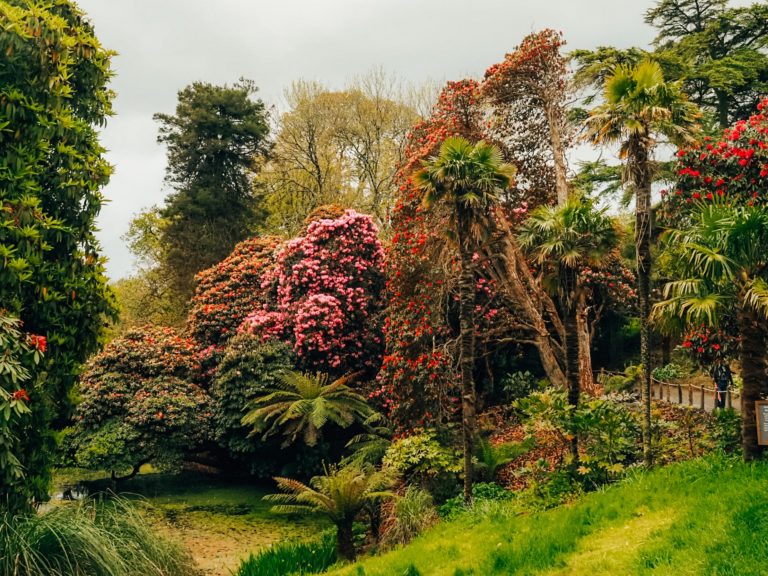 A Guide to Visiting the The Lost Gardens of Heligan, Cornwall
