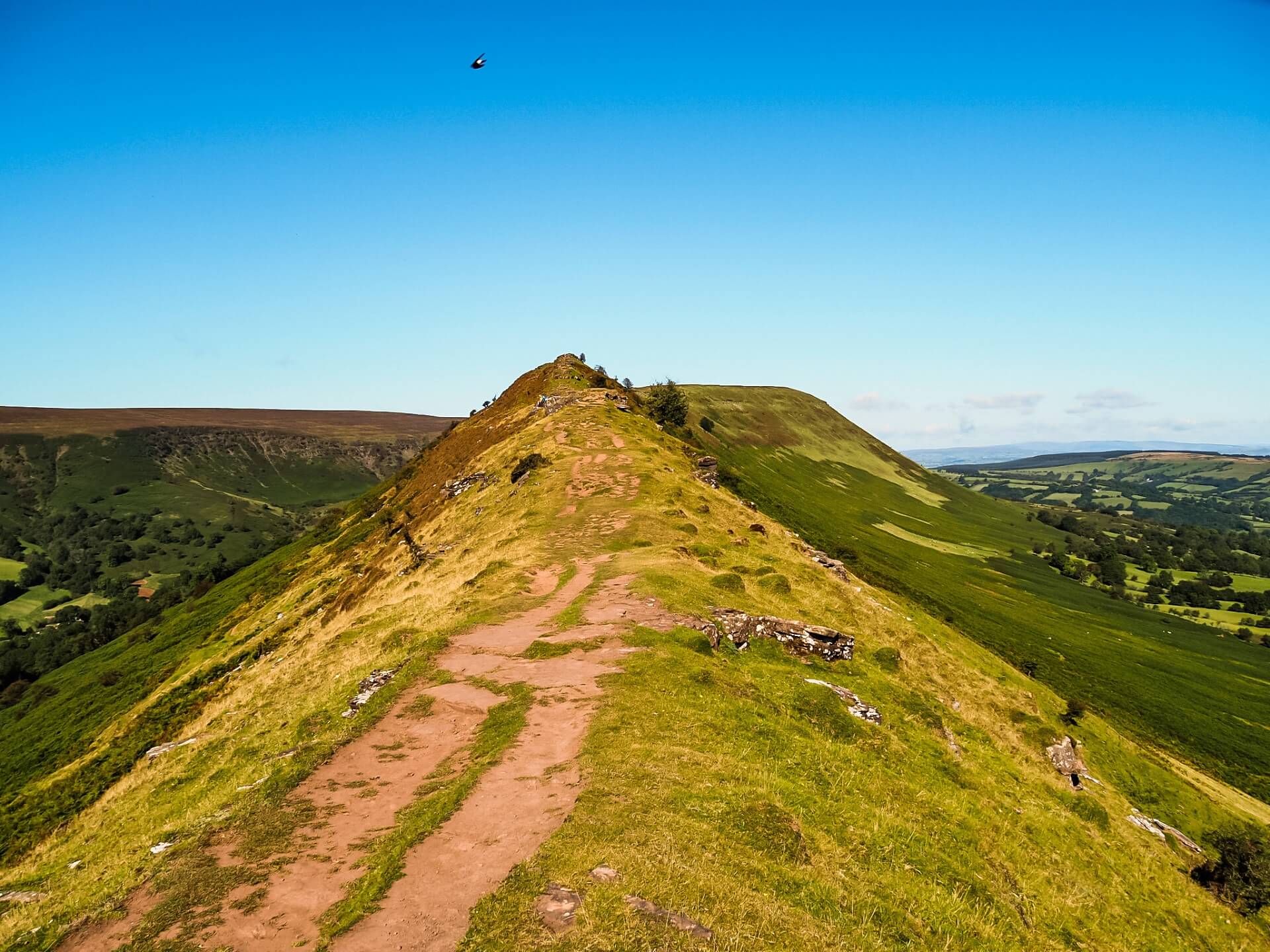 Black Hill (Cat's Back) Circular Walk in Herefordshire, UK Kitti