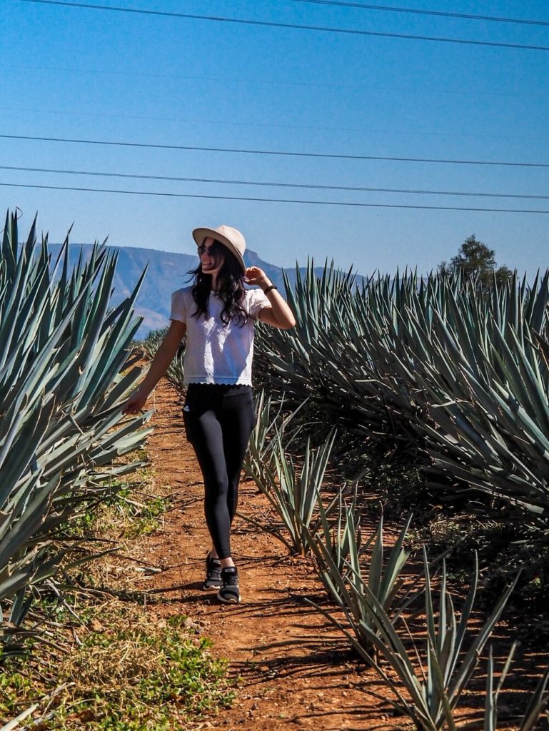 How to Spend One Day in Tequila, Jalisco, Mexico - Kitti Around the World