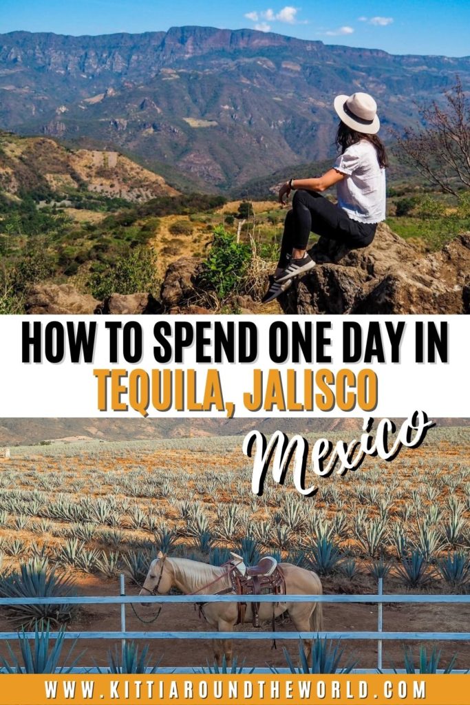 tequila mexico trip