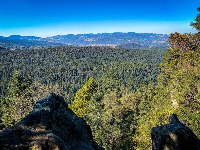 A Detailed Guide to Hiking in Desierto de los Leones National Park ...