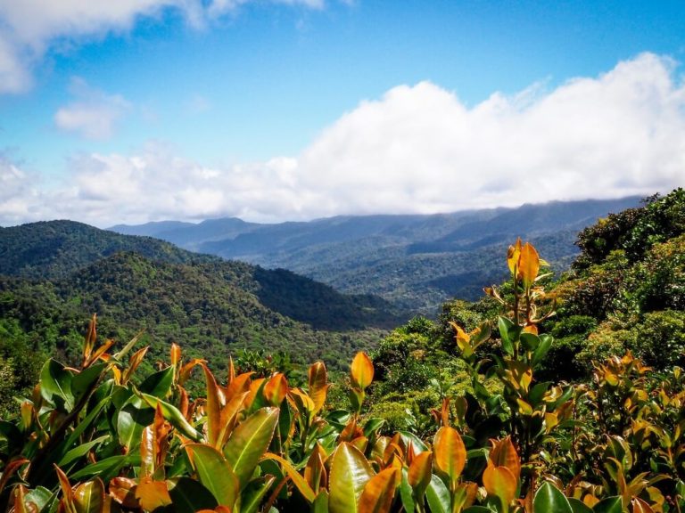 Santa Elena or Monteverde Cloud Forest Reserve – Which One to Visit in Costa Rica?
