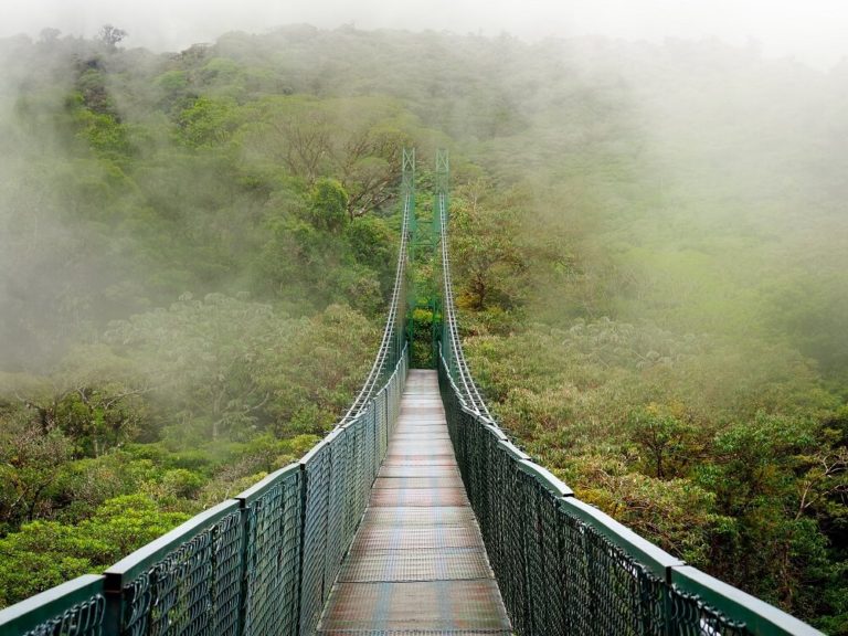 Best Things to Do in Monteverde and Santa Elena, Costa Rica