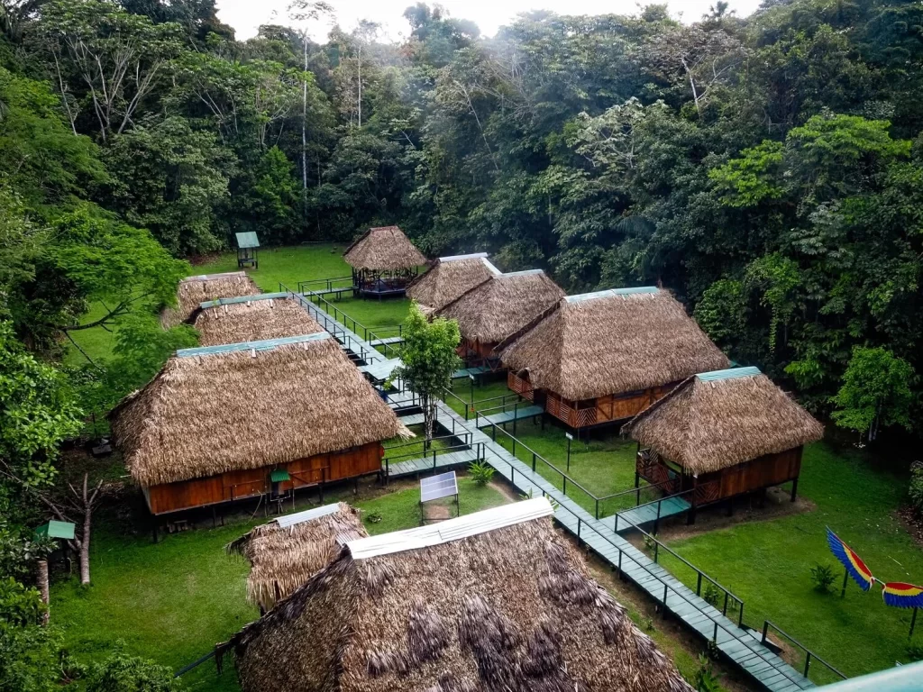 amazon rainforest tours ecuador