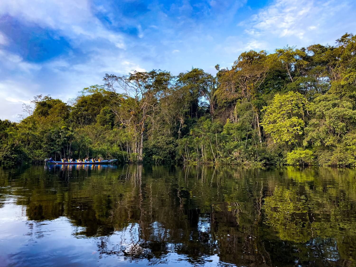 Best Activities In Cuyabeno Wildlife Reserve, Ecuador - Kitti Around ...