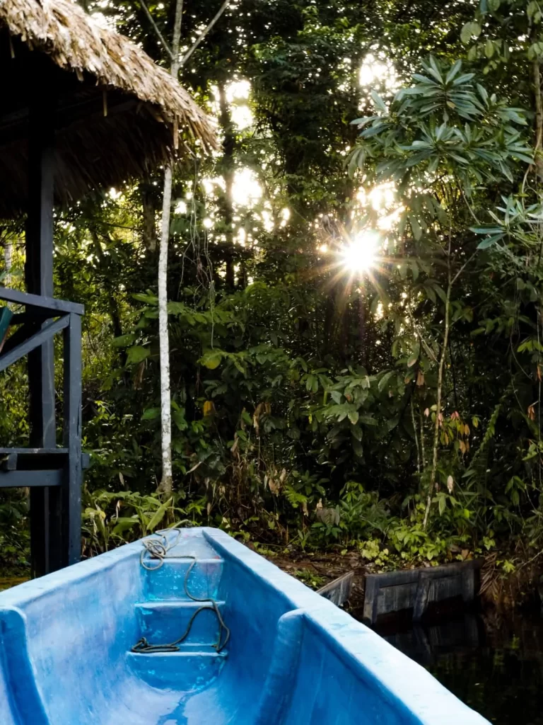 amazon rainforest tours ecuador