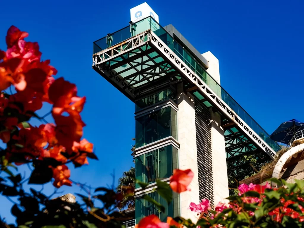 An L-shaped building with a glass elevator with a viewing platform on top with red flowers in the foreground