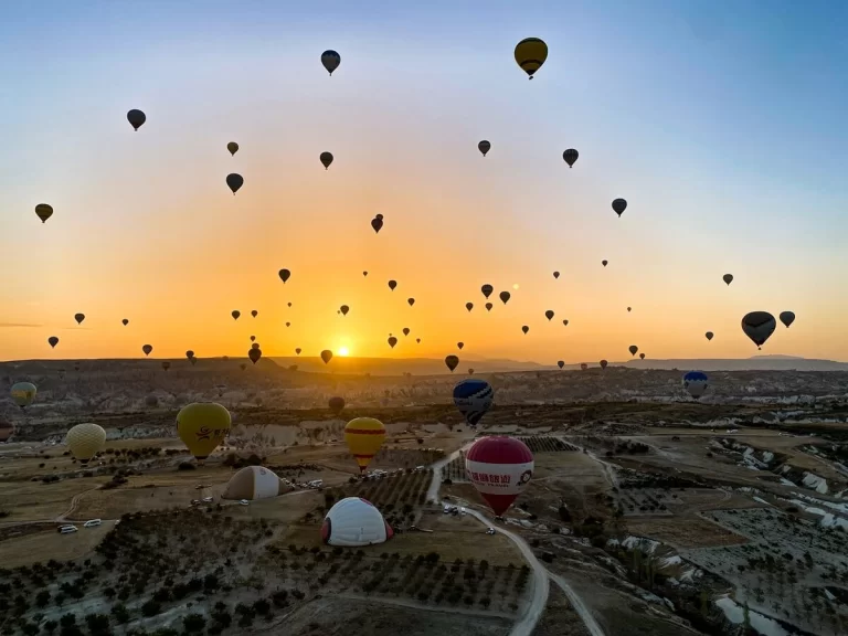hot air balloons in the sky during sunrise