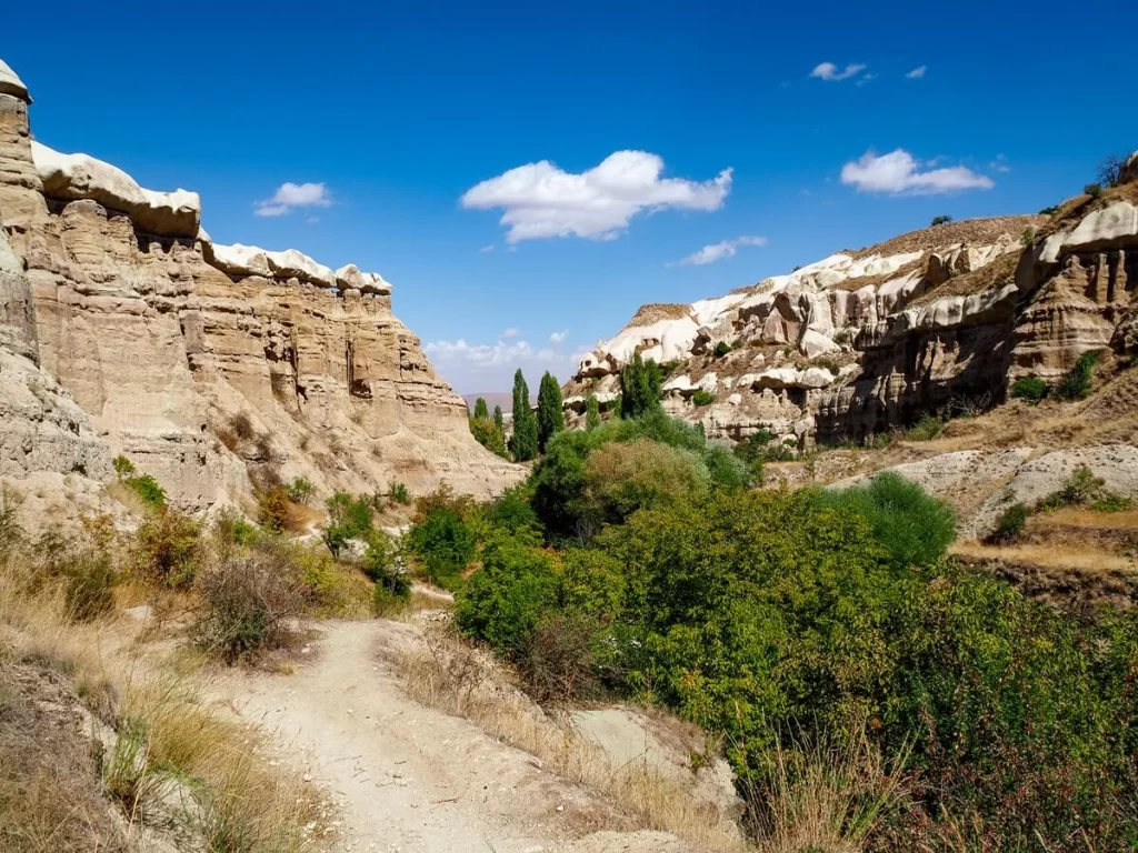 A valley with trees in the middle