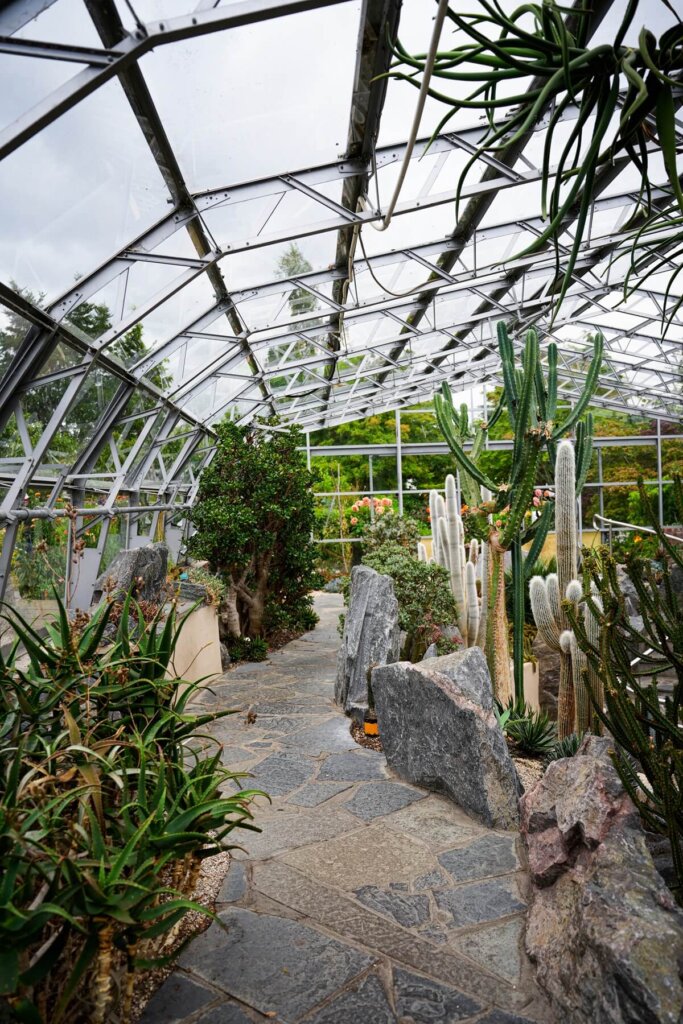 Cactus room in a botanic garden in Inverness