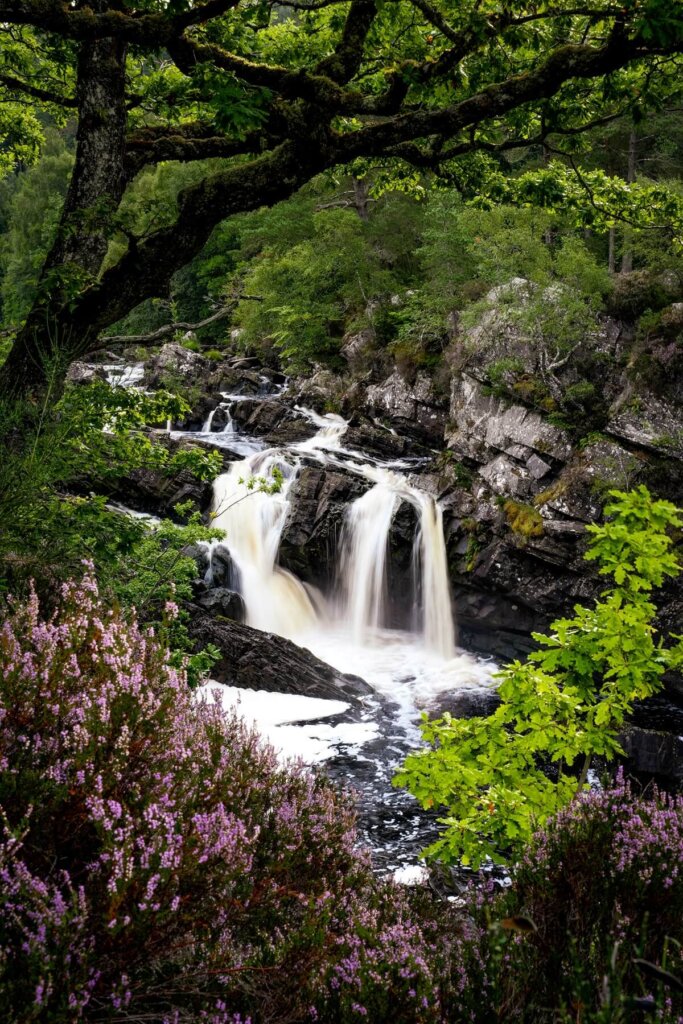 Rogie Falls in Scotland