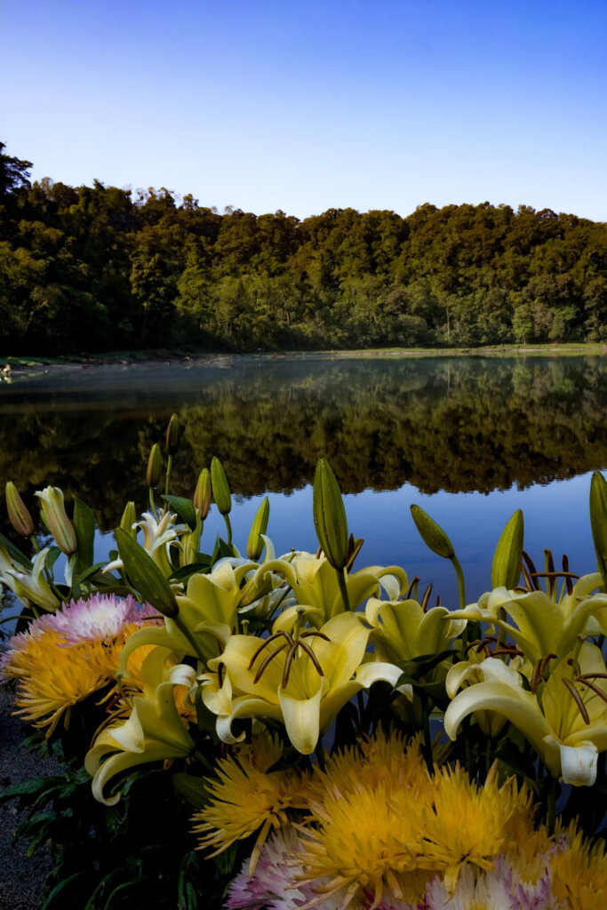 Flower offerings at Laguna Chicabal in Guatemala