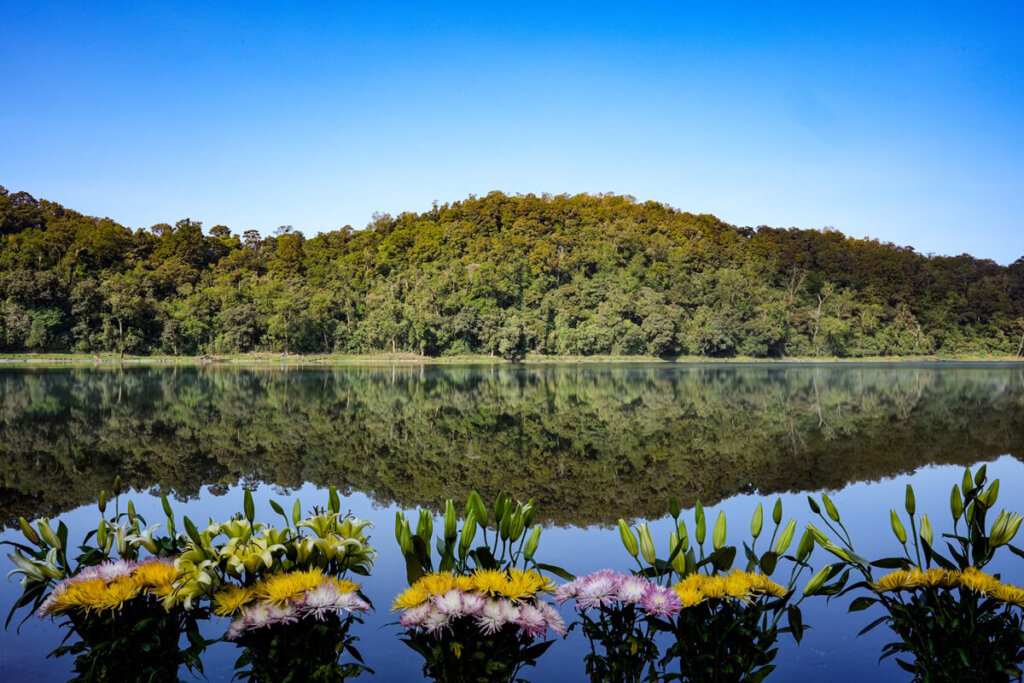 Flower offerings at Laguna Chicabal