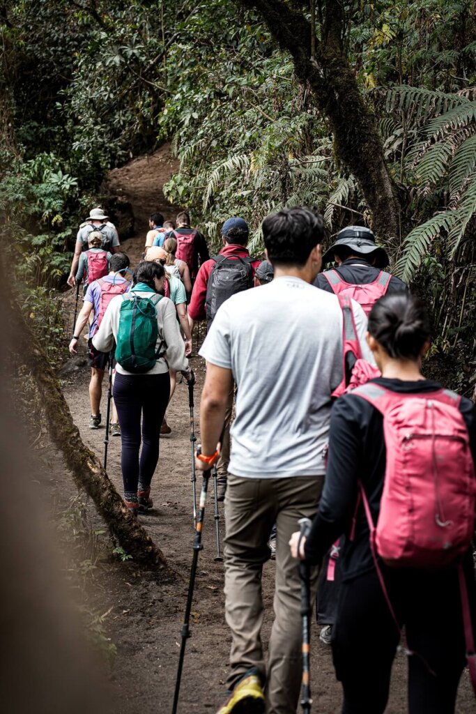 hikers are walking along the Acatenango hiking trail