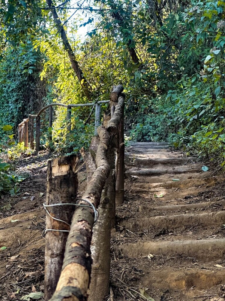 Hiking trail to Volcan San Pedro