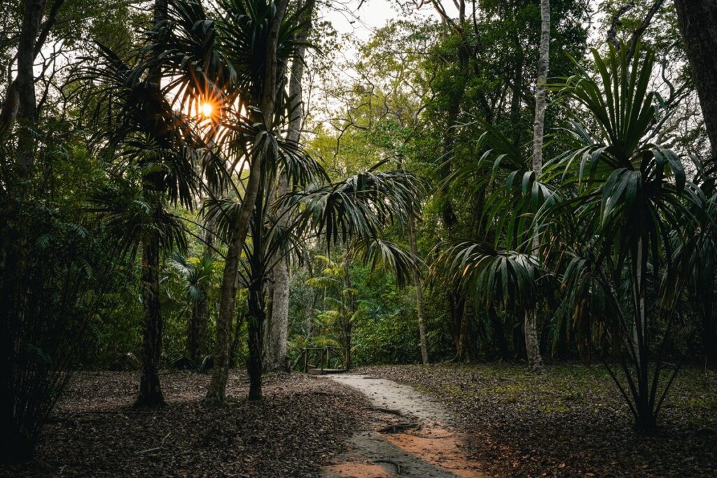 Walking path in Yaxha Ruins Guatemala