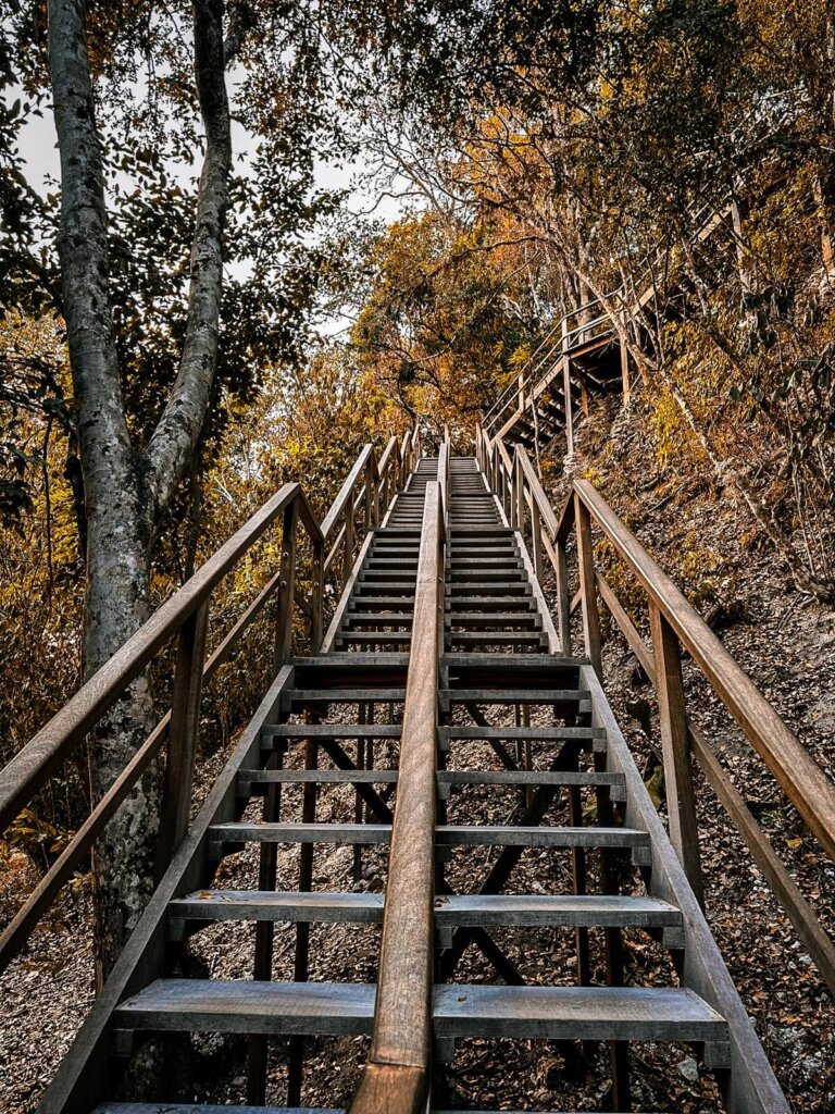 wooden stairs in Yaxha