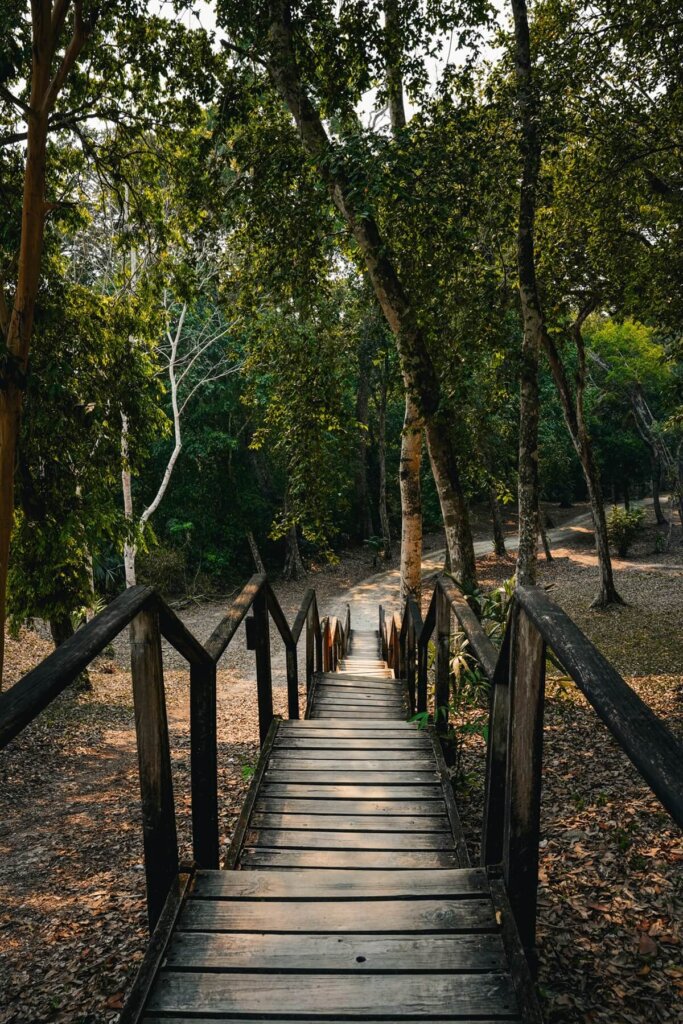 Wooden stairs in Yaxha