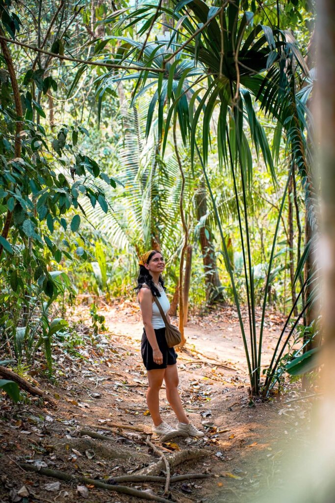 Belize Botanic Garden