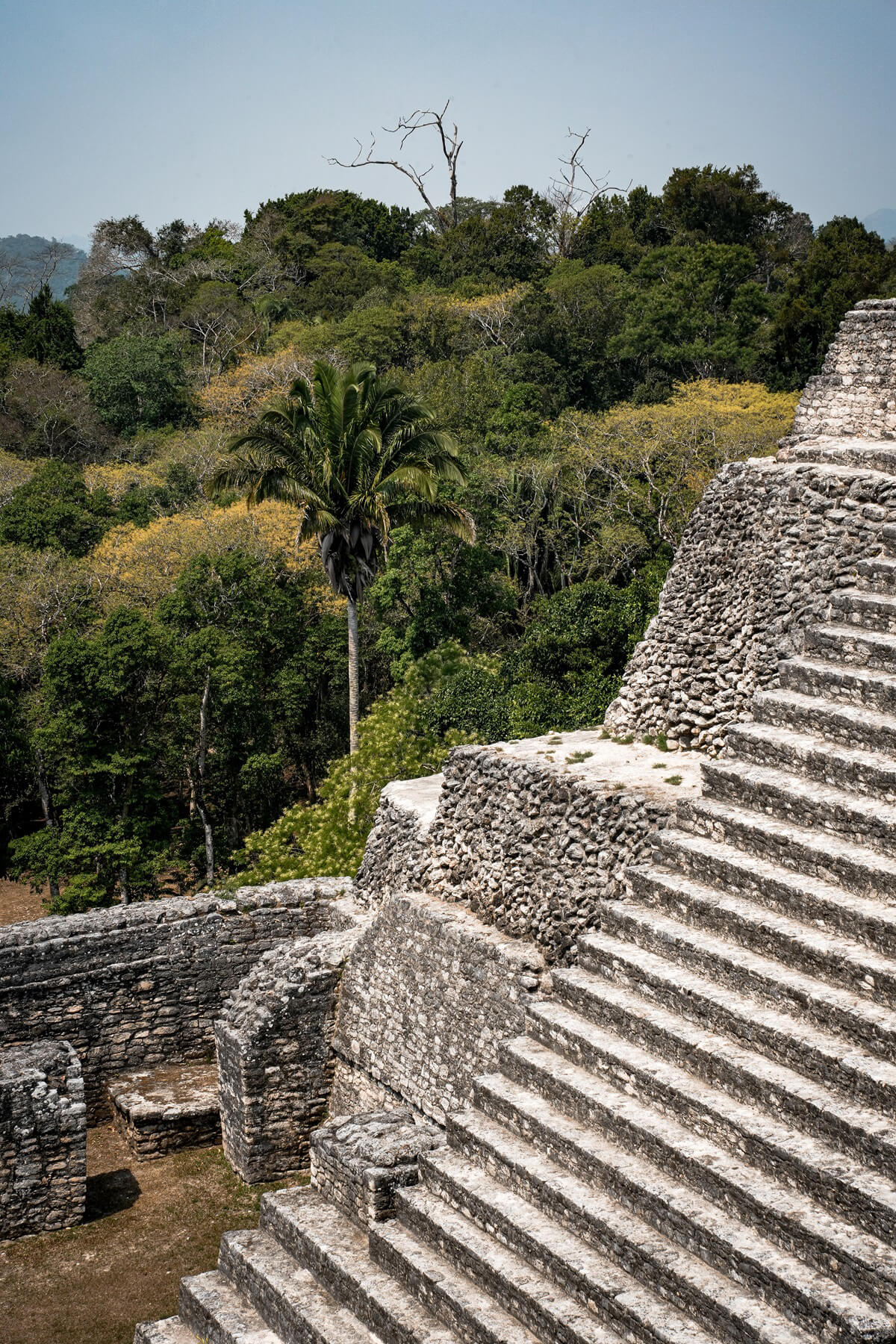 An Essential Guide to Visiting Caracol Ruins in Belize - Kitti Around ...