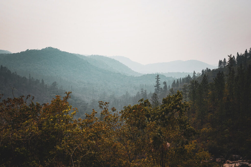 Mountain Pine Ridge Forest Reserve