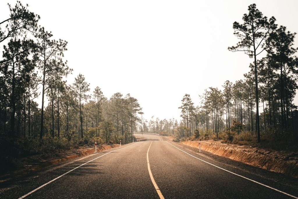 Road in Belize