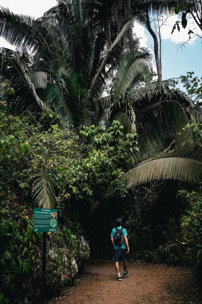 St Herman's National Park in Belize