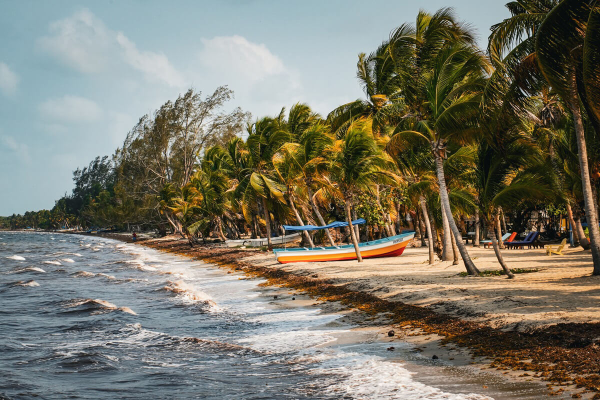 beach in Hopkins Belize