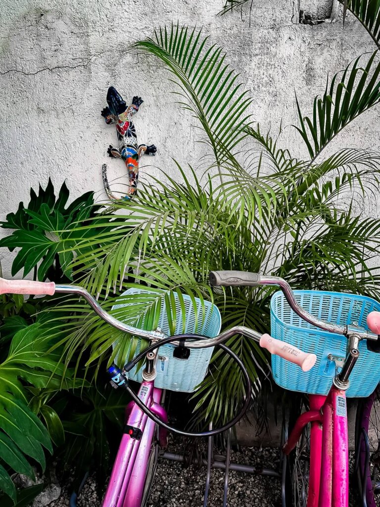 Bikes with baskets