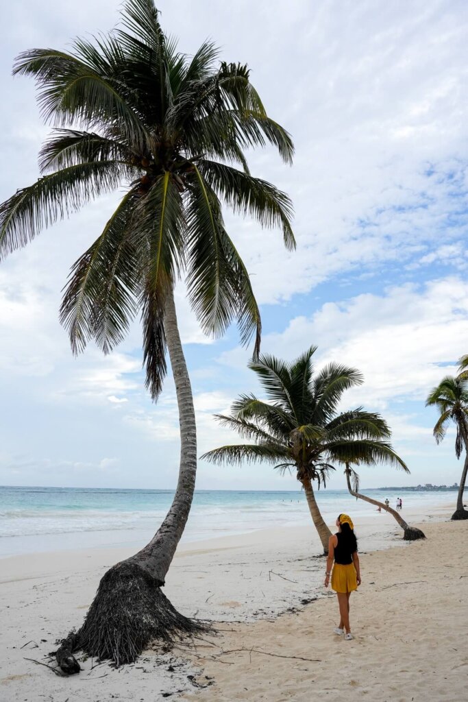 Tulum Beach Zone