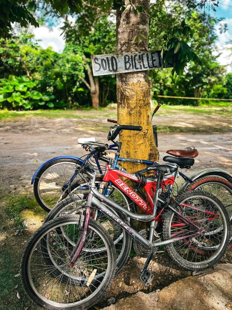 Bicycles in a bike stand in Mexico 