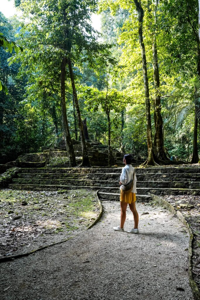 Palenque Jungle Trail