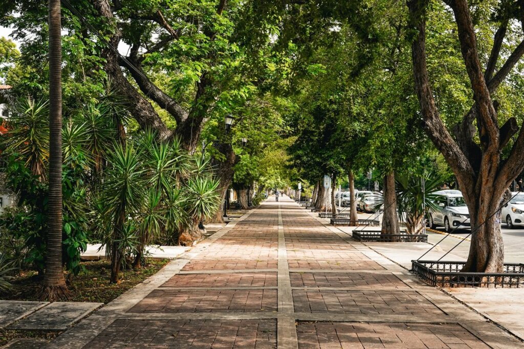 Paseo de Montejo Merida Mexico