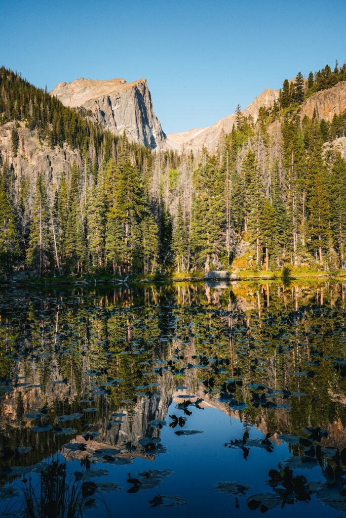 Nymph Lake RMNP Colorado